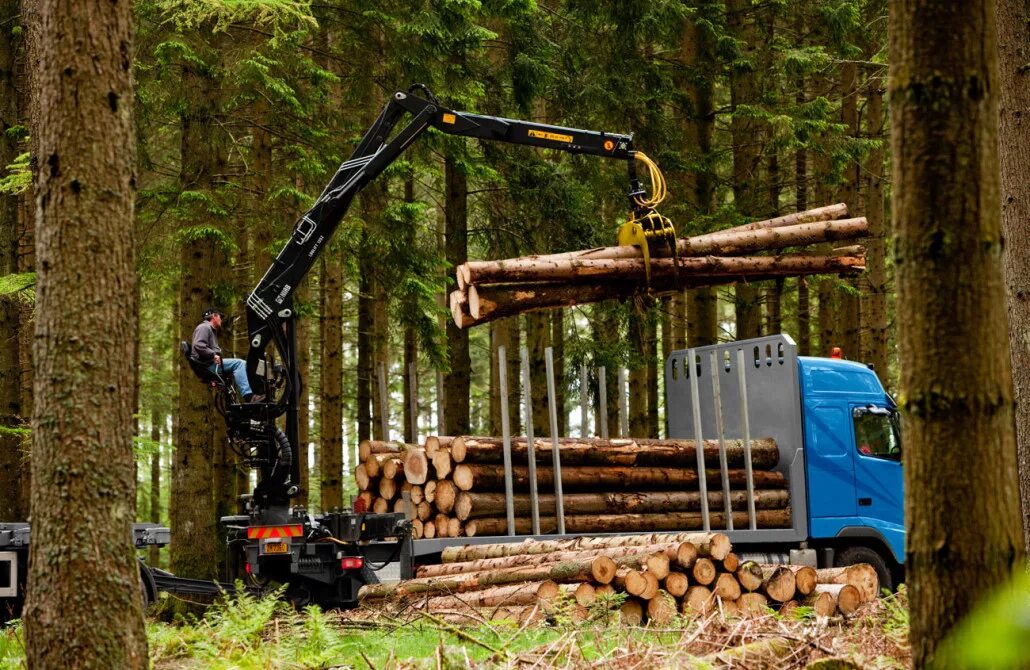 Манипулятор логлифт. Логлифт. loglift.