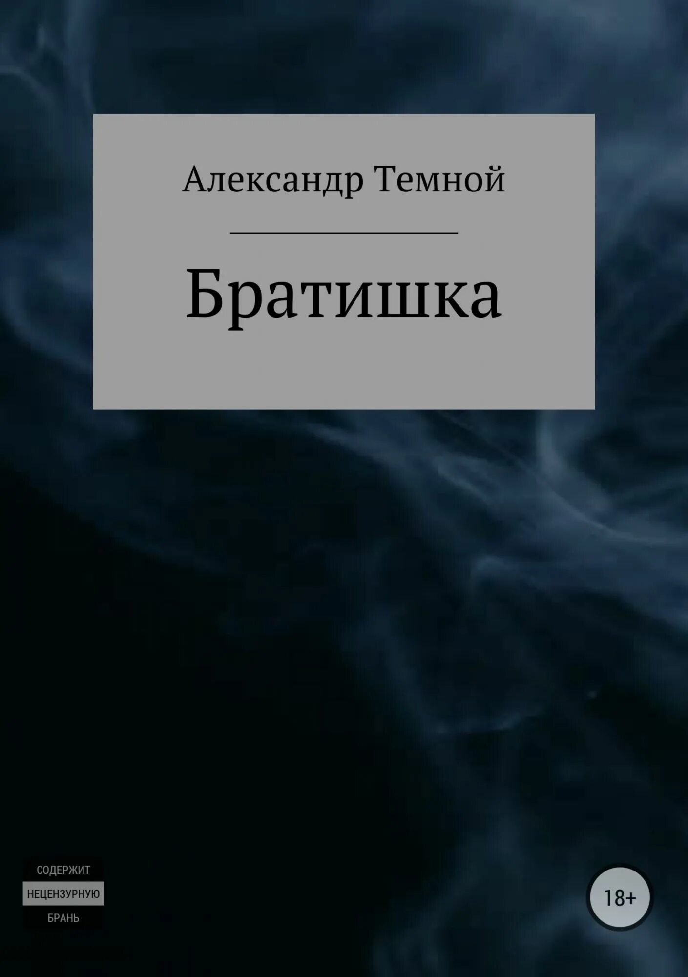 Книга братик. Братишка книга. Поселягин в. "братишка". Братишки отзывы