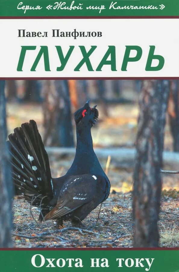 Глухарь оседлая птица. Глухарь. Книга глухарь первый. Глухарь птица с названием. Глухарь (tetrao urogallus).