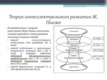 Теория интеллекта ж пиаже