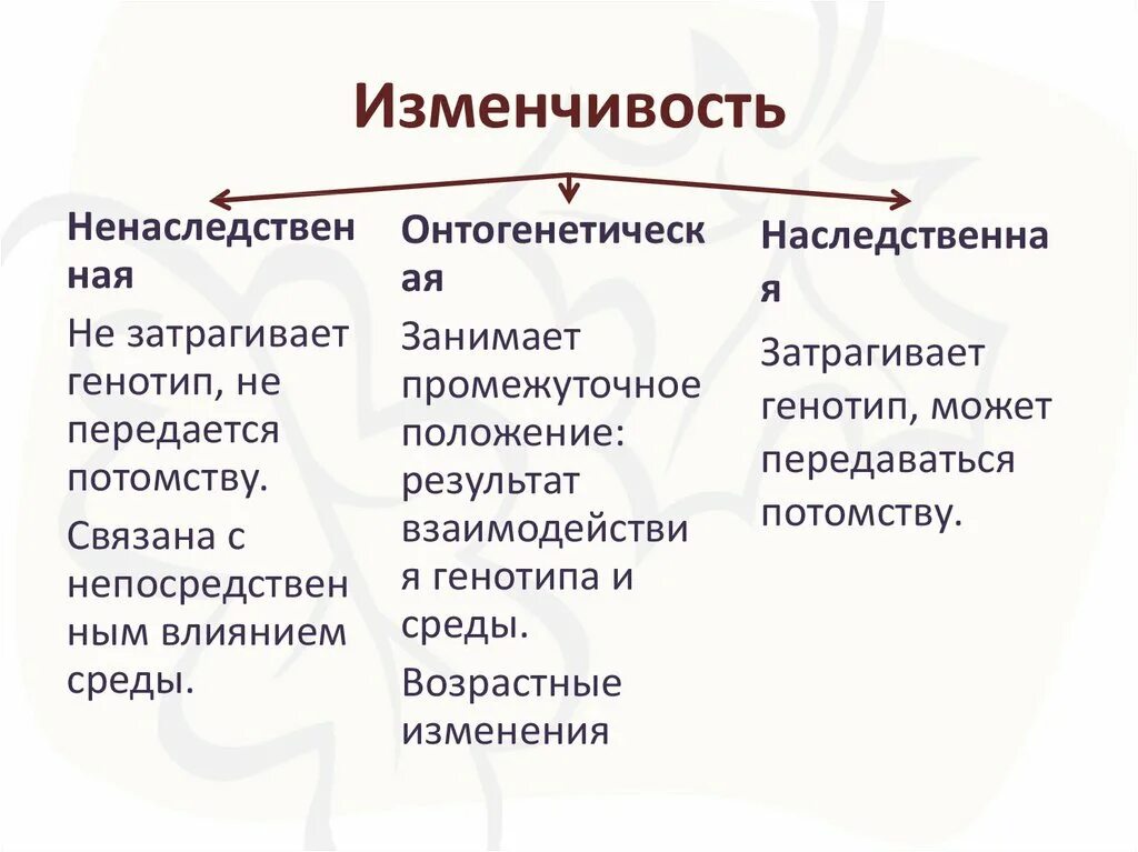 Изменчивость игры. Примеры случайной изменчивости. Закономерности изменчивости мутационная изменчивость. Виды изменчивости примеры. Случайная изменчивость виды