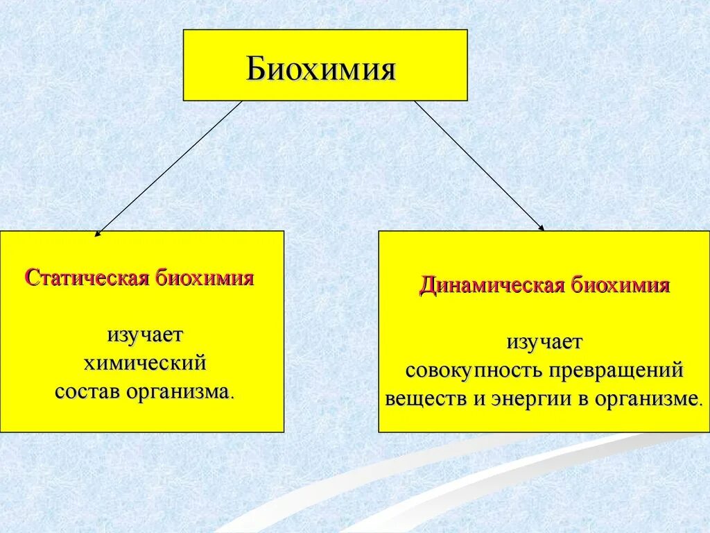 Что изучает биохимия в биологии. Динамическая биохимия. статическая и динамическая биохимия. динамическая биохимия изучает. статическая биохимия изучает.
