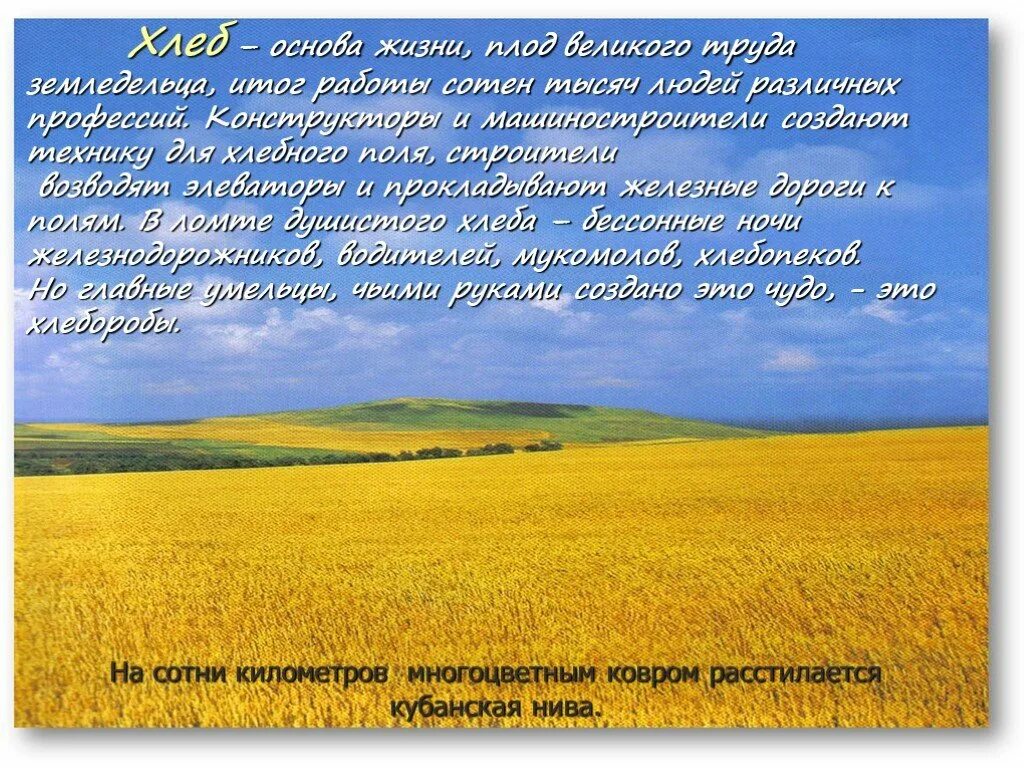 Труженики родной земли 2 класс. Люби и воспевай наш Краснодарский край. Труженики кубанских полей проект. Проект на тему Кубань. Презентация на тему моя Кубань.