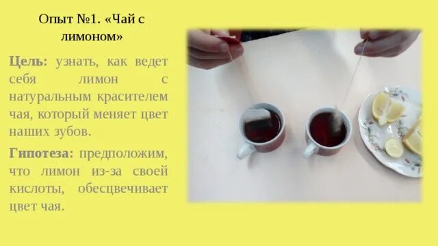 Чай с лимонной кислотой. Опыт с чаем и лимоном. Эксперимент с чаем и лимоном. Эксперимент лимон и чай. Опыты с чаем.