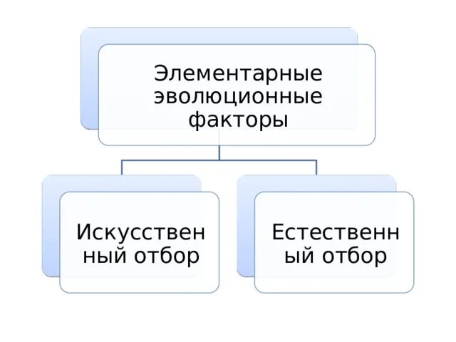 Схема многообразие элементарных эволюционных факторов. Элементарные эволюционные факторы. Элементарные факторы эволюции таблица. Элементарные эволюционные факторы человека. Элементарные эволюционные факторы 9 класс презентация.