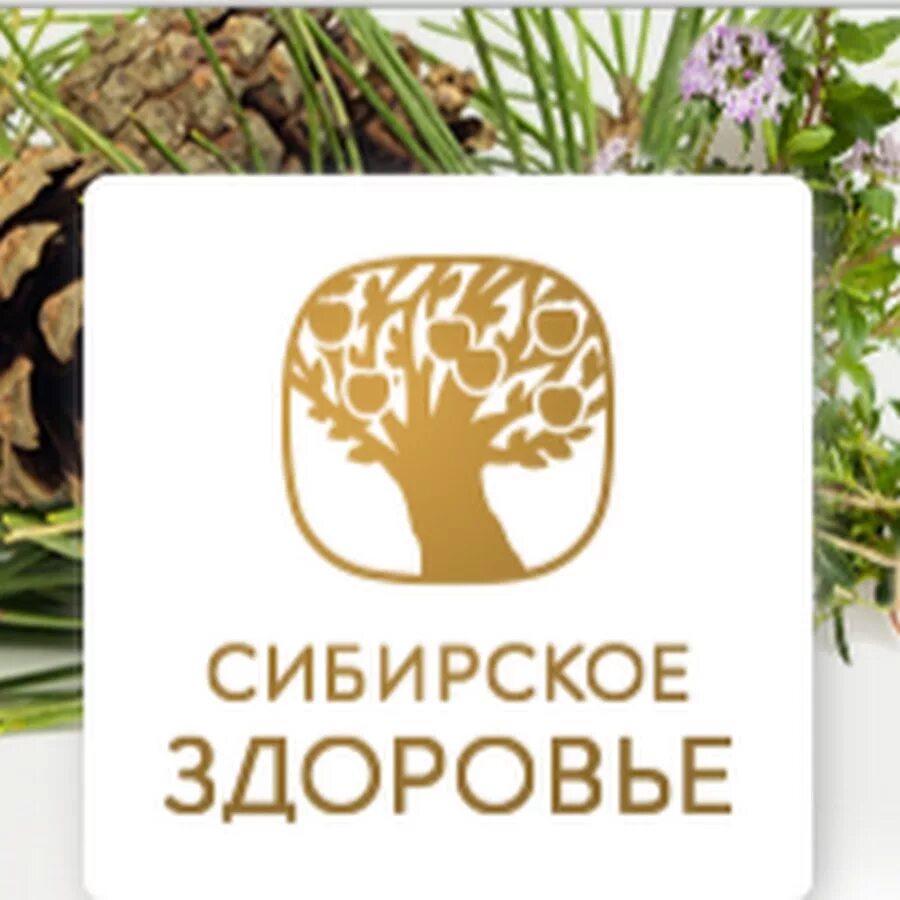 Сибирское здоровье в перми. Символ сибирского здоровья. Сибирское здоровье баннер. Сибирское здоровье siberian wellness логотип. Сибирское здоровье дерево.