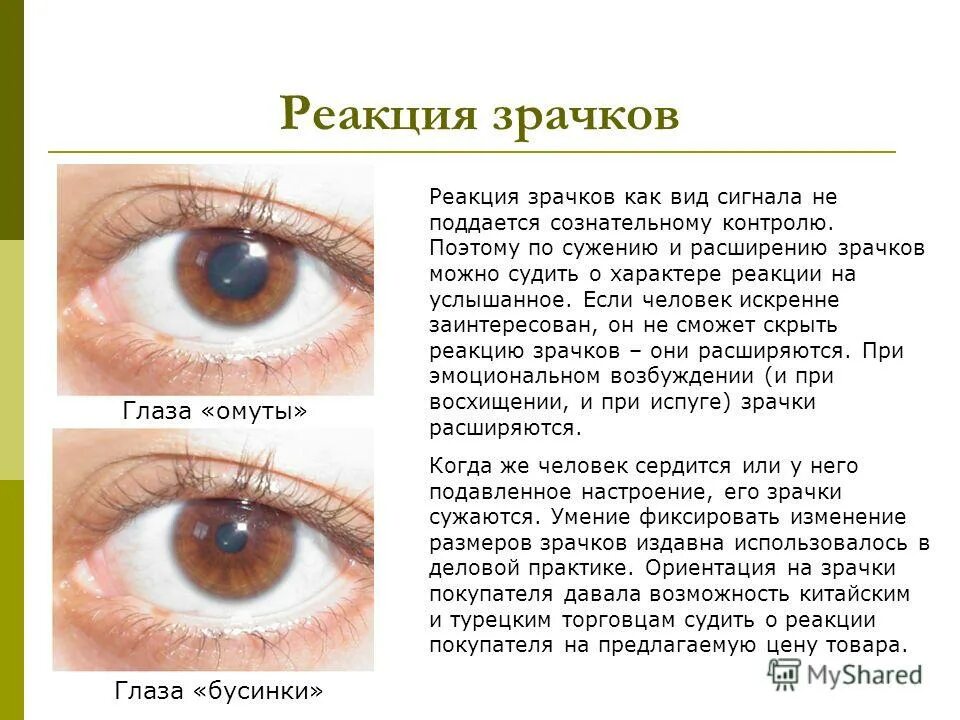 Расширяет зрачки уменьшает частоту сердечных. Расширение зрачков причины. расширенный и суженный зрачок. зрачок человека расширяется.