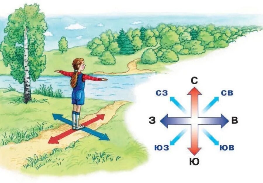 Ориентироваться в первую очередь. Стороны горизонта для детей. Ориентирование на местности стороны горизонта. Стороны света.