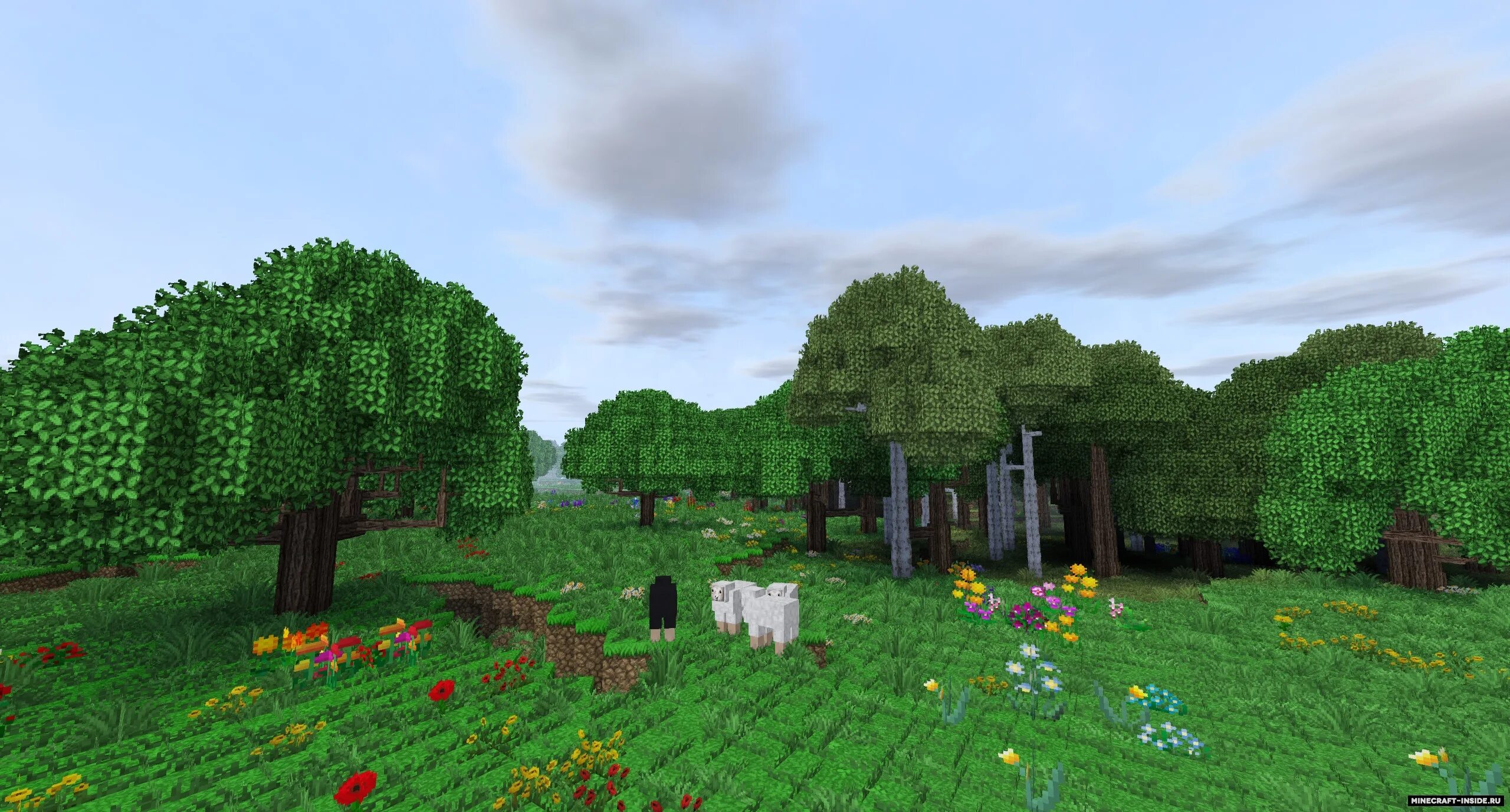 Tree mod 1.12 2