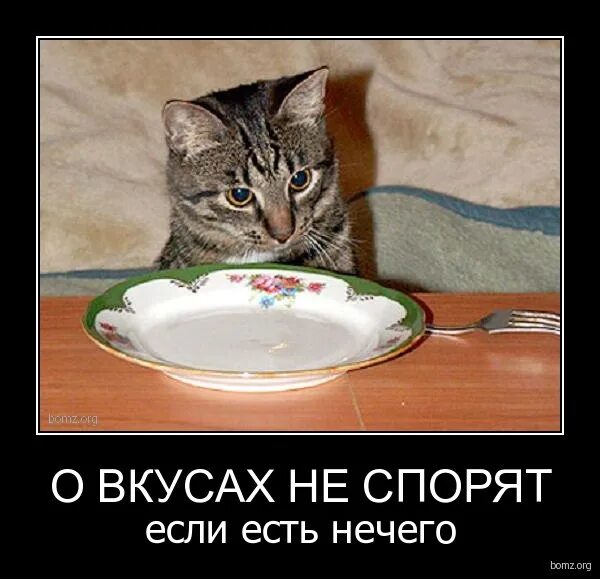 Нечего есть вообще. Нечего есть вообще