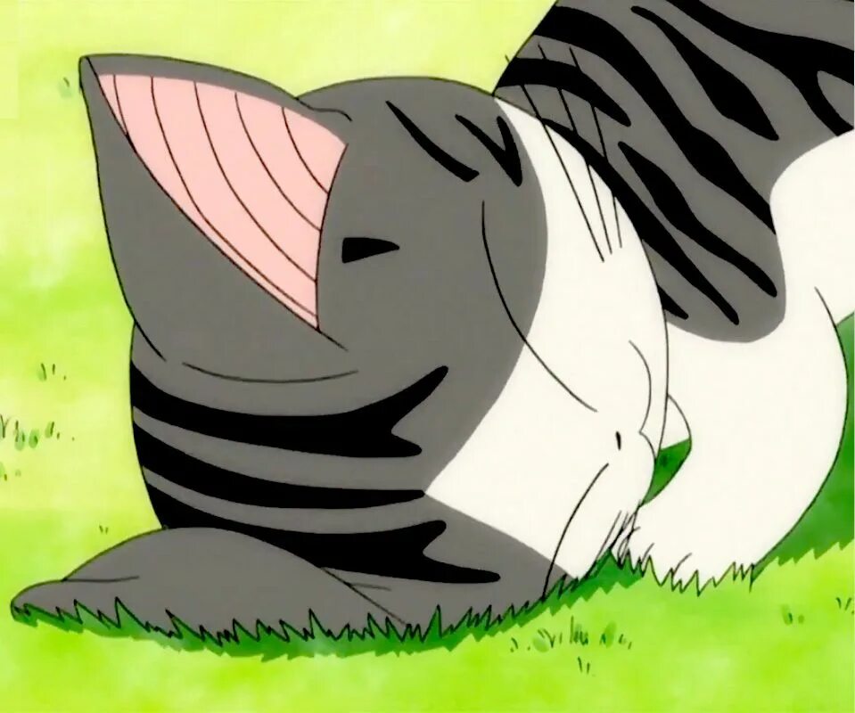 Chi animation. Кат ши аниме. беременные кошки аниме. беременная кошка аниме. world of chi аниме.