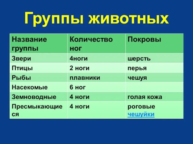 Группы животных. Названия групп животных. Группы живого. Группы животных таблица