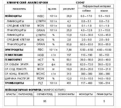 Общий анализ крови с реактивный белок. Креатинин в моче норма у мужчин по возрасту таблица. Таблица показатели прелом стекла. Таблица показателя набузаемости ГОСТ. Скиаскопия расшифровка результатов норма таблица у детей.