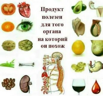 Полезные продукты почему