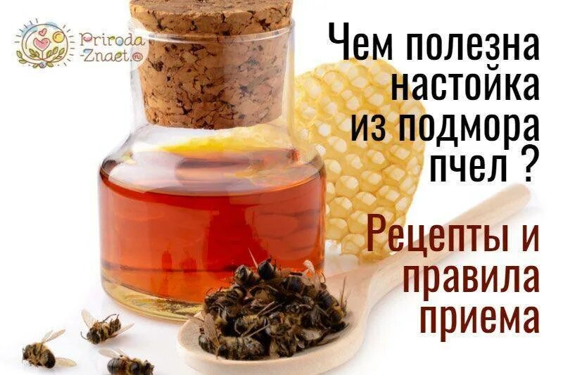 Как принимать пчелиную настойку
