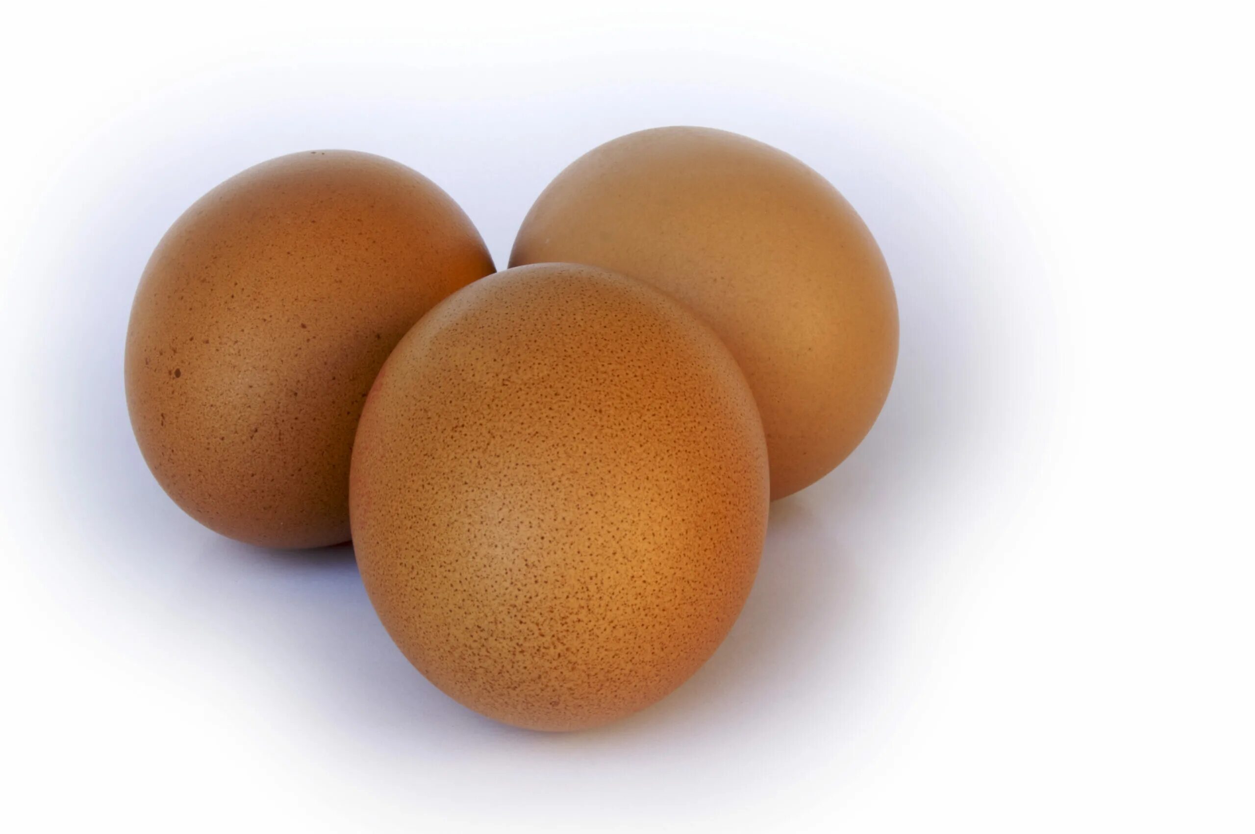 Яйцо куриное в тарелке. Зеленые яйца. Яйцо куриное отборное картинки. Упаковка для яиц. Фасовка для яиц.