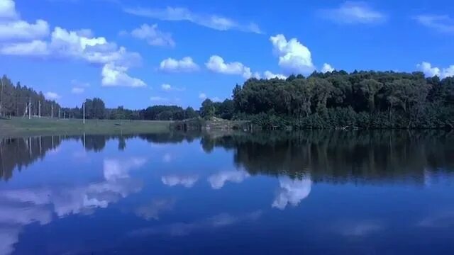 Барсуки брянская область рыбалка. Барсуки тульская область. Фосфоритное озеро брянск. Барсуки база отдыха брянская область. У василича брянск база отдыха.