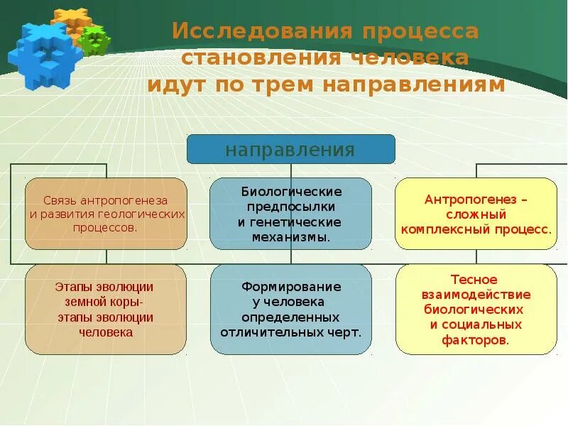 Процесс становления развития человека