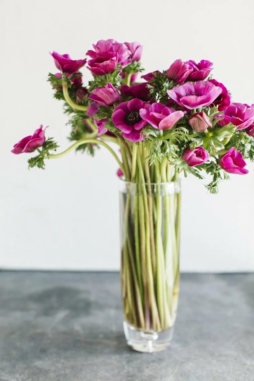 Цветы которые долго стоят в вазе. Гвоздика ikebana. эустома. цветы в вазе. ваза с цветком.