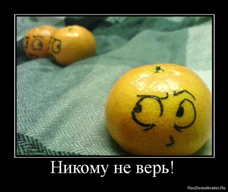 ни хочешь не верь. ни хочешь не верь. никому не верю. не верь надпись. надпись не верю.