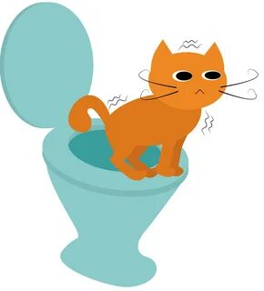 Kucing juga bisa diajari untuk buang kotoran di toilet manusia, caranya ham...