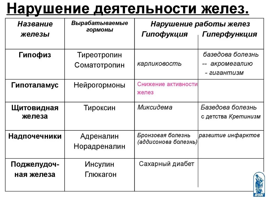 Таблица железа гормон заболевания