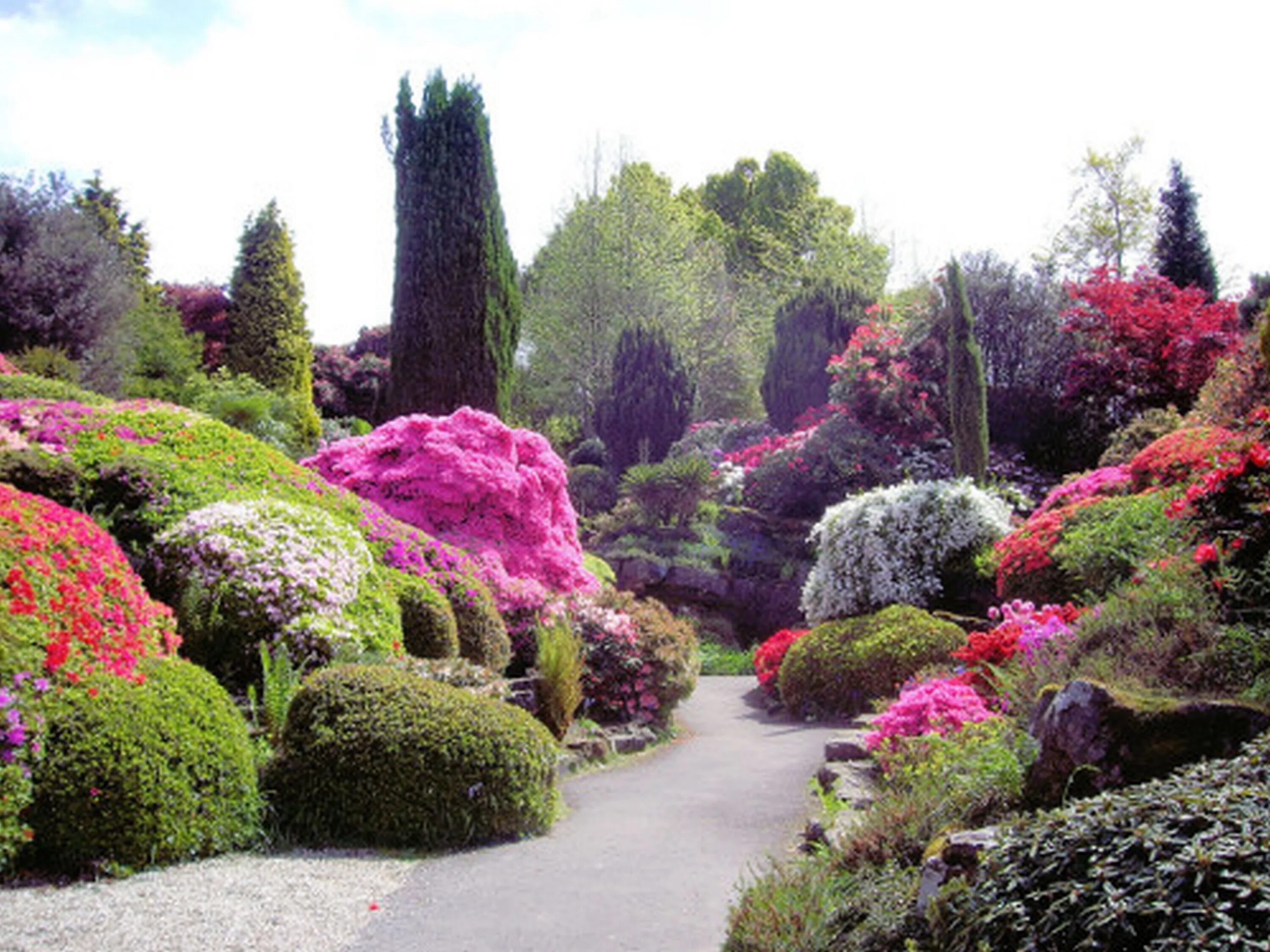 Королевский Ботанический сад Эдинбурга. Ботанический сад пейзажный стиль. Леонардсли Гарден рододендрон. Сад Кавати Фудзи.