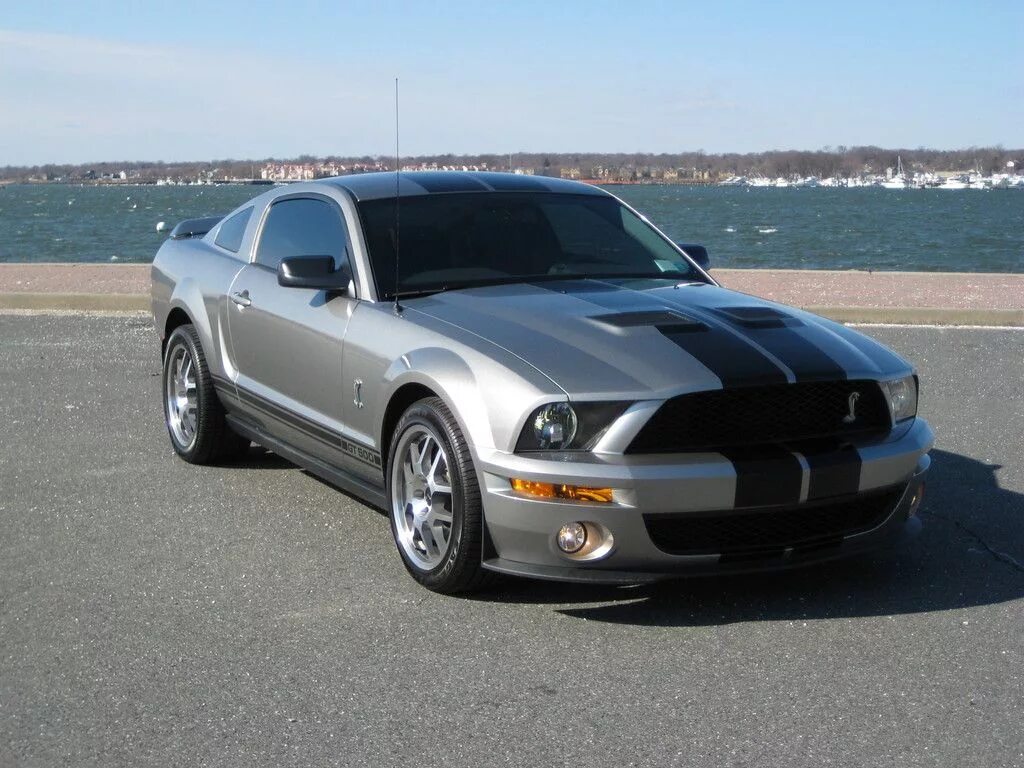 Форд Мустанг 2008. Форд Мустанг gt 500 2008. Ford Shelby 2008. Ford Mustang gt500 2008. Мустанг 2008