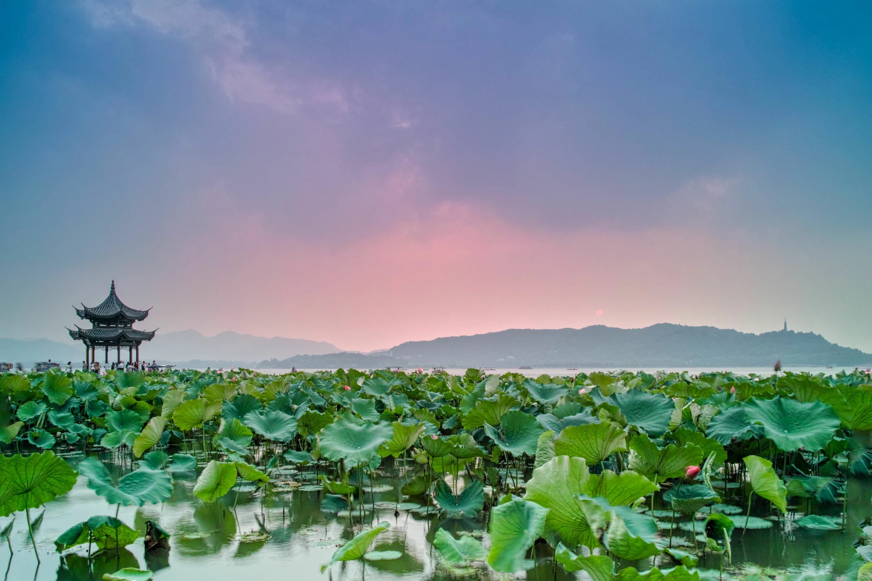 Погода в азии. Japan. Фестиваль касуга мацури. Погода в азии сейчас. Погода азиатская.
