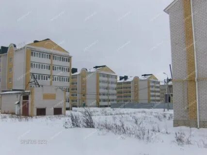 Арзамас лесная