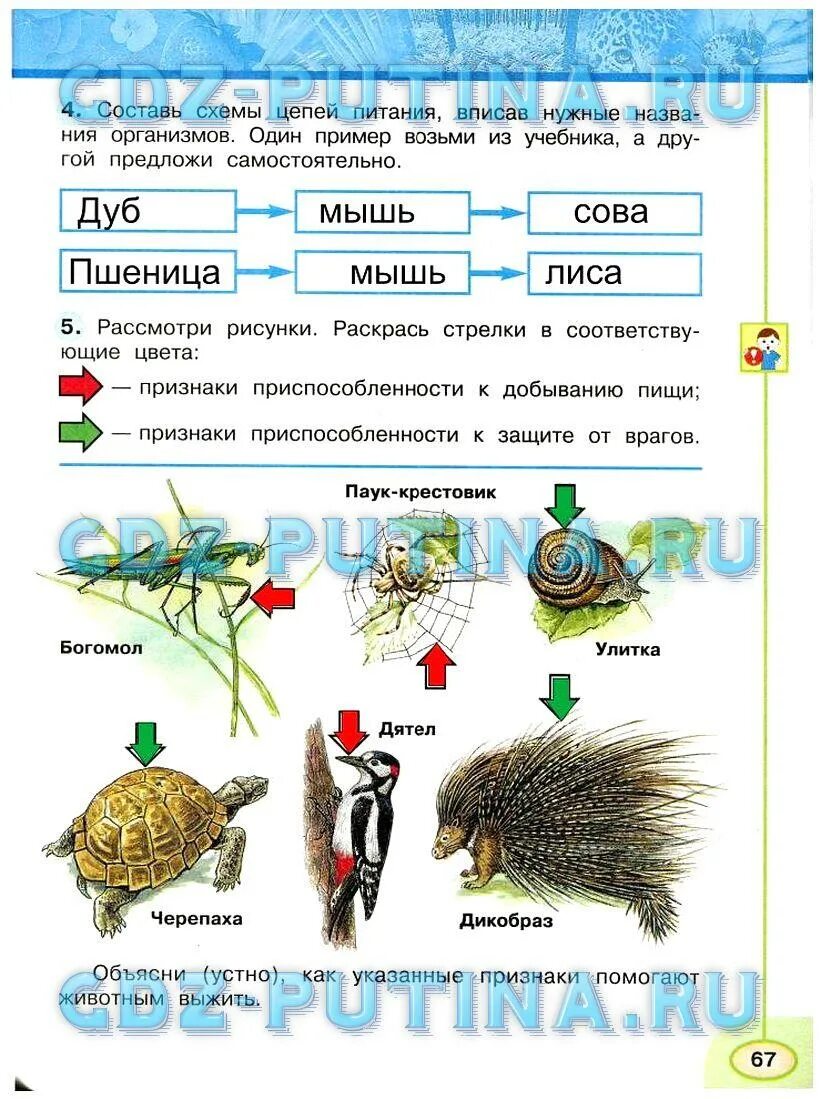 Включи по окружающему миру 3. Окружающий мир 3 класс рабочая тетрадь 1 часть Плешаков стр 66 номер 4. Окружающий мир 3 класс рабочая тетрадь стр 66 номер 4. Гдз по миру рабочая тетрадь 3 класс Плешаков Новицкая. Окружающий мир 3 класс рабочая тетрадь 1 часть Плешакова стр 67.