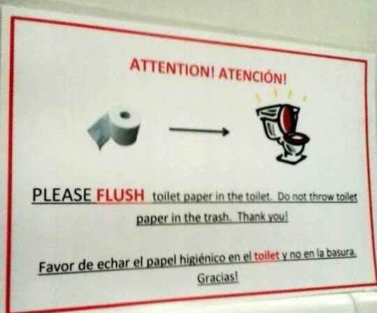 Look at the attention. Throwing Toilet paper. Paper only Toilet. Not Flushing Toilet paper in Mexico. Flush only Toilet paper.