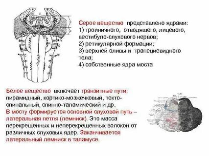 Строение моста