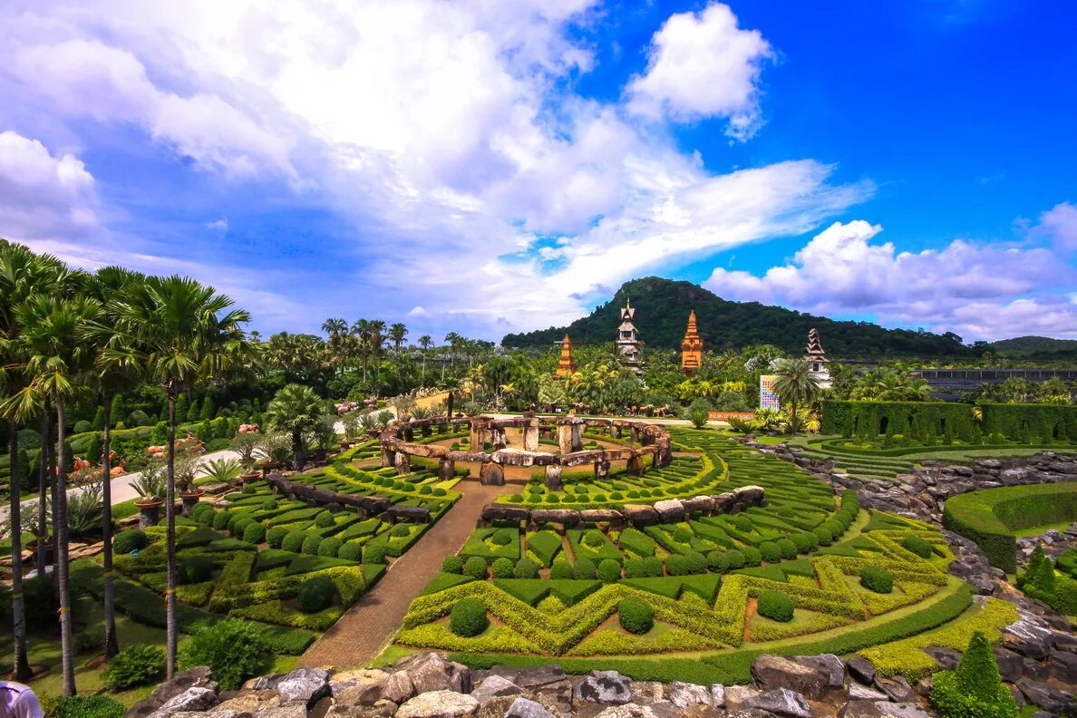 Парк Нонг Нуч Таиланд. Тропический сад Нонг Нуч Паттайя. Ботанический сад Нонг Нуч. Парк Нонг Нуч орхидеи.