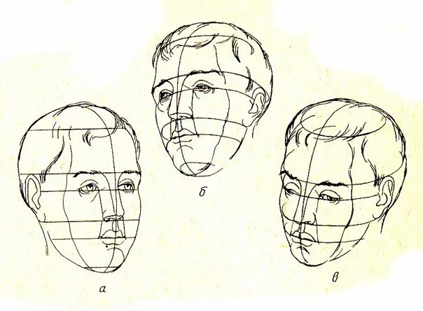 Лоб тер. Построение головы. Голова человека рисунок. Рисование головы и лица человека. Наброски головы.