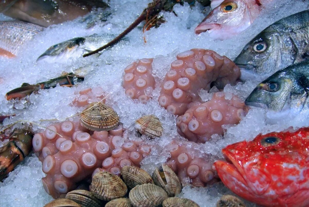 Свежая морская рыба. Рыба с овощами. Польза рыбы для организма. Морская рыба названия для еды. Содержание ртути в рыбе таблица.