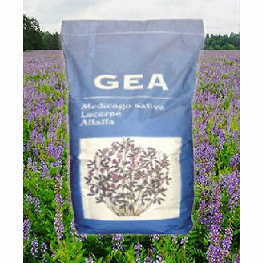 Семена люцерны джея. Посев люцерны. Семена люцерны джеа gea. Люцерна джея. Семена люцерны джеа gea.