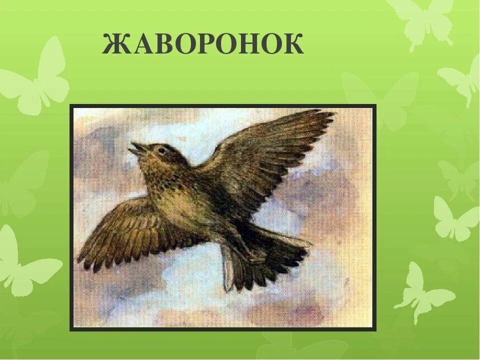 День жаворонка в 2024 году. Жаворонок иллюстрация. Жаворонок картина. Жаворонок открытка. Жаворонки открытки.