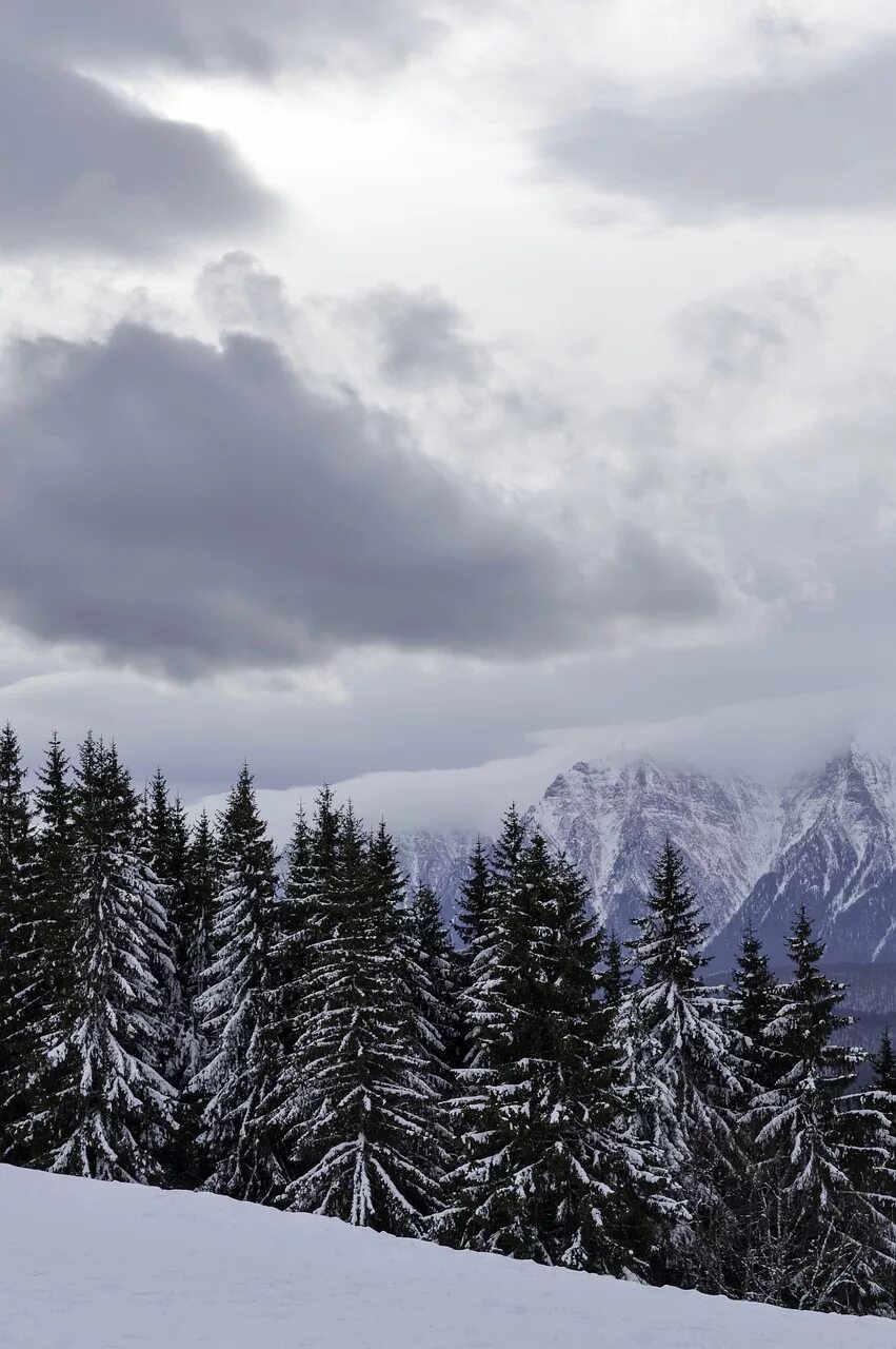 Зимние горы. Зимний лес в горах. Облака зимой. Снежный лес и горы.