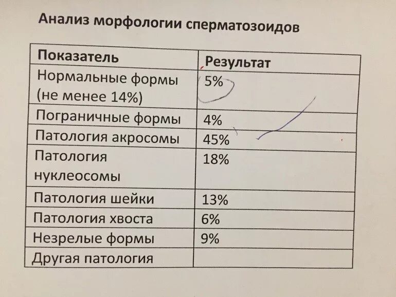 Морфология 2 процента. Нормальные морфологические показатели спермограммы. Морфология спермограмма норма. Морфологические исследования спермограммы нормы. Норма морфологически нормальных спермиев в спермограмме.