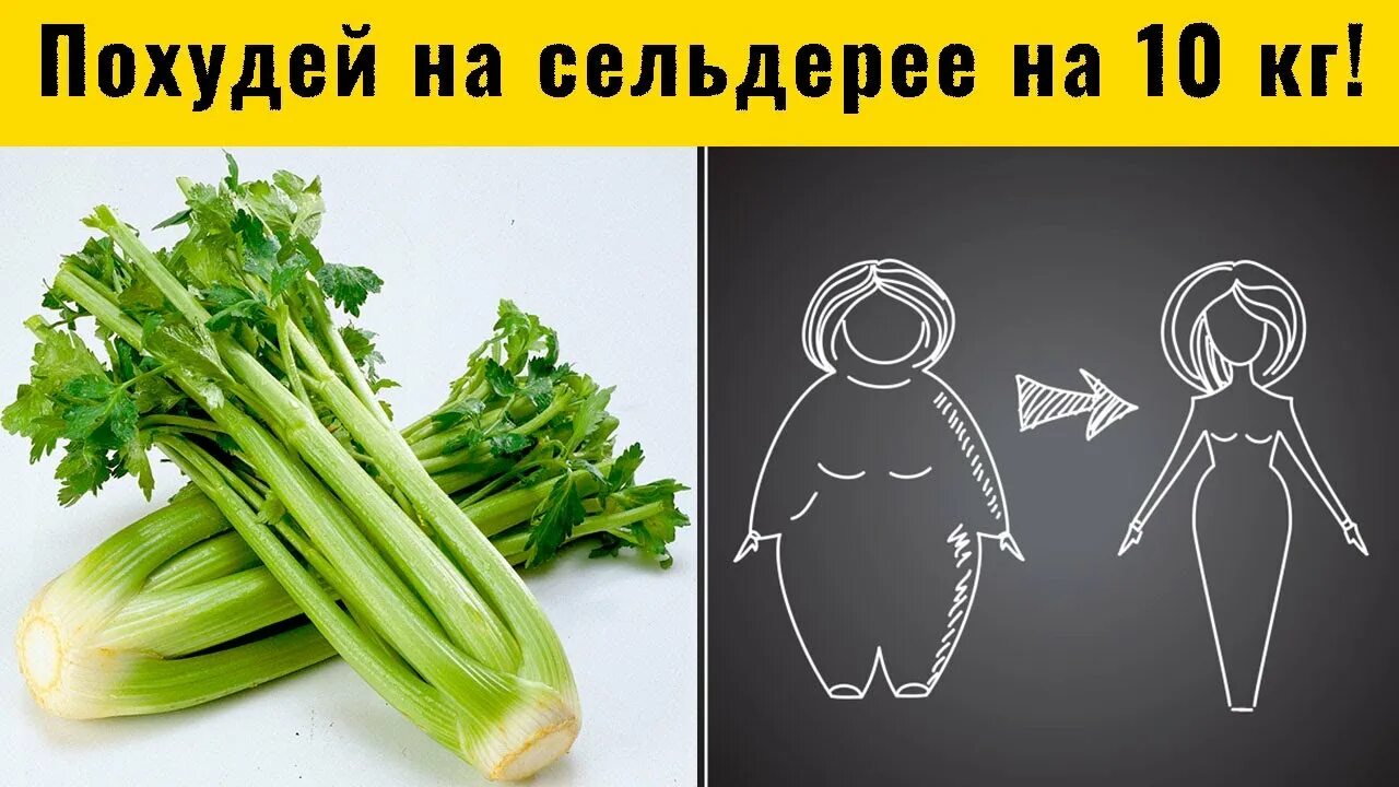 Диета на сельдерее. Сельдерей для похудения. От сельдерея худеют. Много ли в сельдерее витамина с.