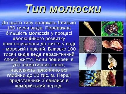 Молюски у детей или моллюски
