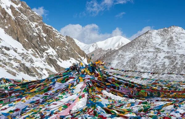 интернет магазины тибета