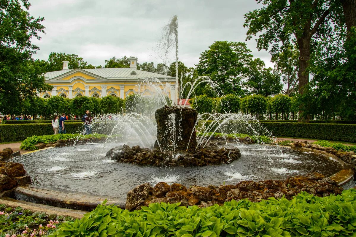 Петергоф Нижний парк. Парк фонтанов в Петергофе. Петродворец фонтаны Нижний парк. Фонтаны в Нижнем парке Петергофа. Петергоф парк сайт