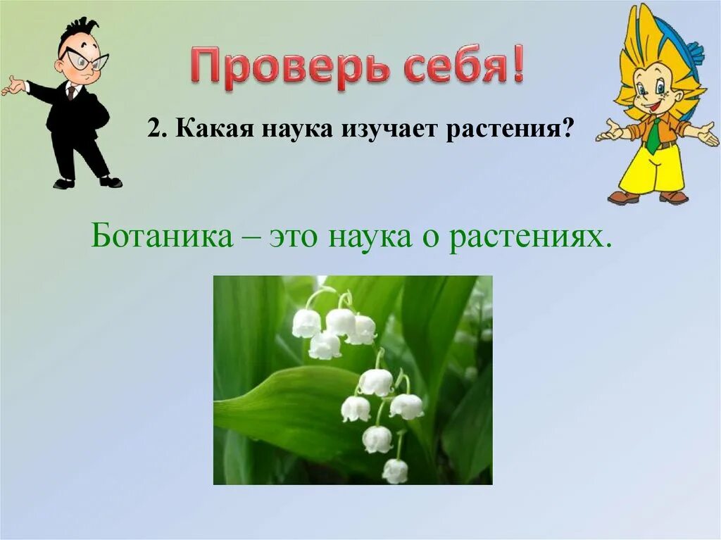 Какая наука изучает растения и животных. Наука изучающая растения. наука о растениях окружающий мир 2 класс. что такое ботаника 3 класс окружающий мир. наука изучающая растения 3 класс окружающий мир.