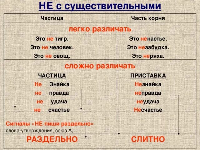 Как писать не с существительными. Правило написания существительных с не. Слитное написание не с сущ. Как писать не с существительными. Существительное которое пишется слитно с не.