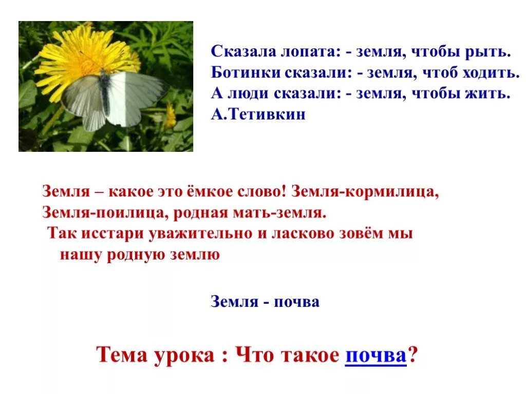 Пословицы о земле кормилице и растениях