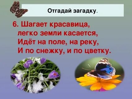 Шагает красавица легко земли