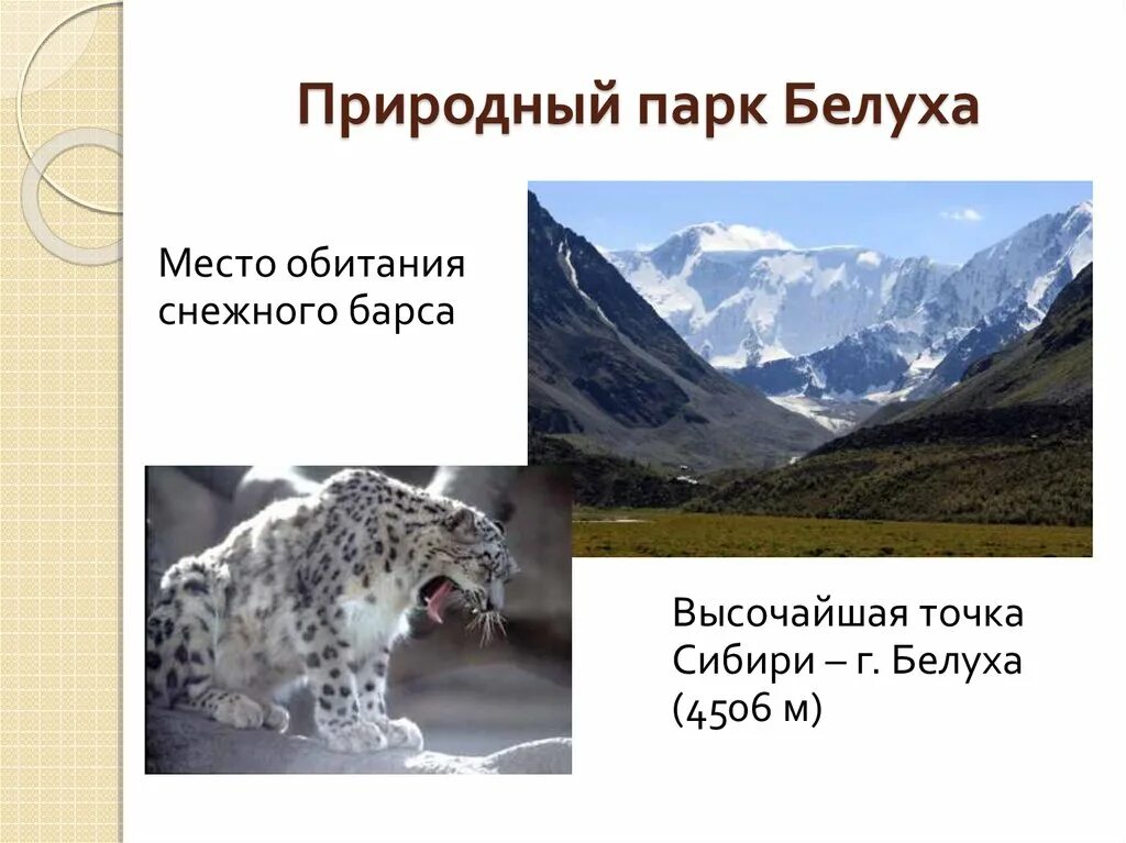 Что в этом месте обитает