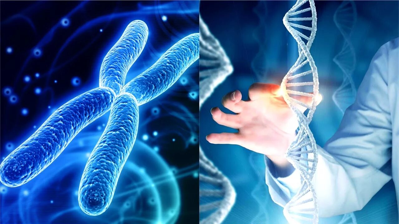 ДНК фото. Гены человека. ДНК человека. Ученые ДНК.